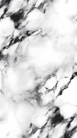 High-contrast white marble slab with diffuse gray veining pattern