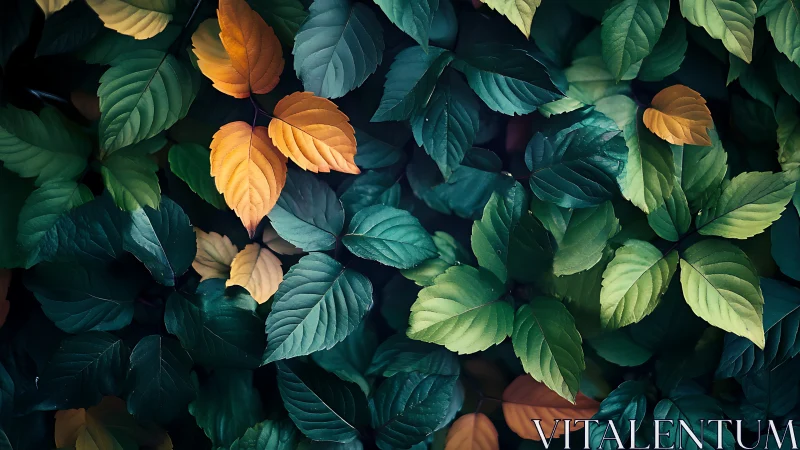 Mixed green and orange foliage forms a dense overlapping layer