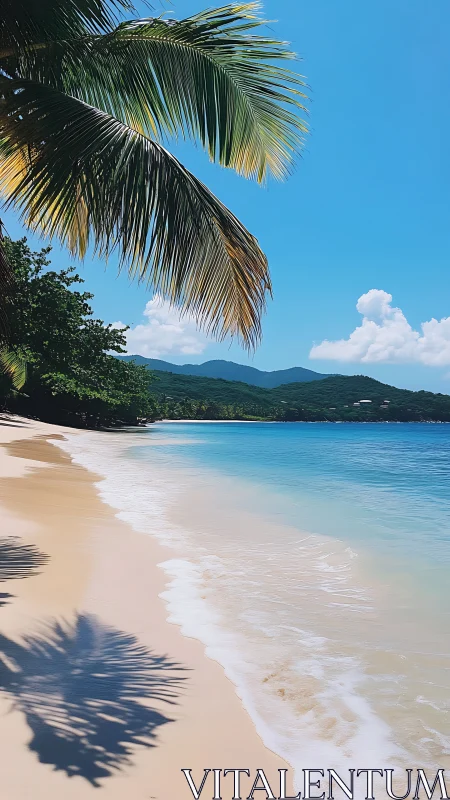 Tropical Beach Paradise with Palm Fronds and Mountains.