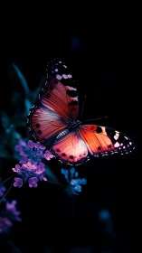 Butterfly rests on violet flowers against dark background