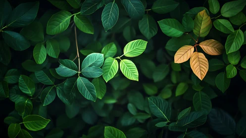 Gentle forest leaves glow softly in shifting green and gold