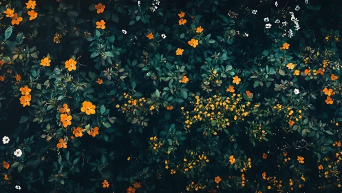 Golden Cascade Blooms Drape Deep Emerald Garden in Floral Splendor