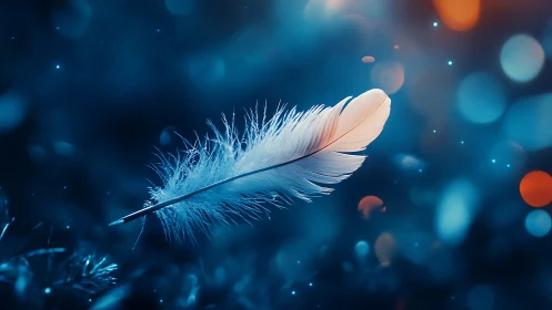 Soft feather suspended against blurred blue bokeh field.