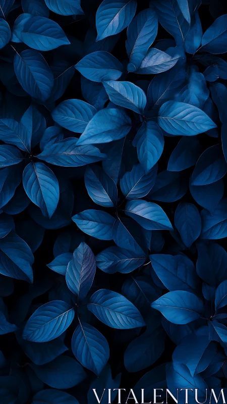 Monochromatic indigo foliage forms a dense, low key botanical field