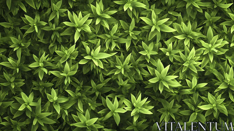 Fractal foliage canopy rendered as dense parametric leaf field.