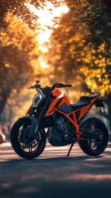 Streetfighter motorcycle in cinematic golden-hour illumination.