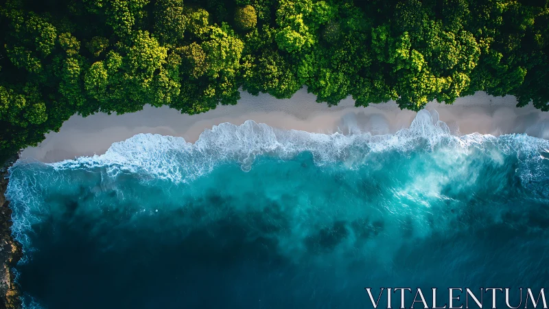 Coastal Drone View: Dense Forest Meets Turquoise Ocean Waves.