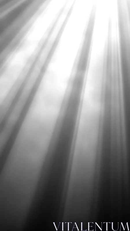 Monochrome volumetric light rays in atmospheric gradient study.