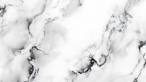 White marble slab shows delicate gray veining and soft depth
