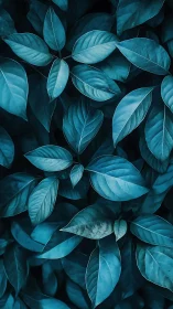 Blue tinted leaves form dense overlapping botanical texture