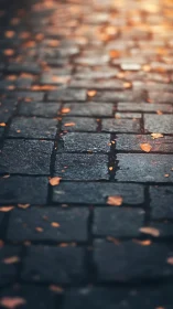 Golden leaves resting gently on a quiet stone path.
