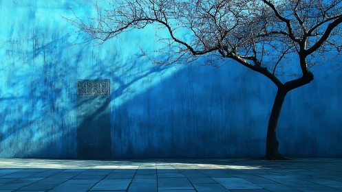 Whispering blue wall and winter tree trading long shadows.