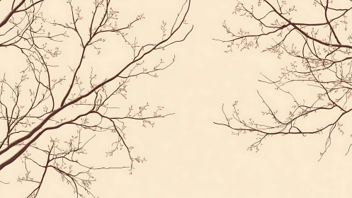 Minimalist illustration of bare tree branches on a beige background.