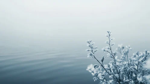 Monochrome littoral flora against defocused rippled water plane.