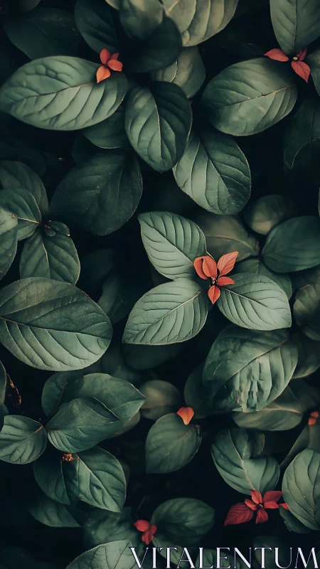 Quiet emerald leaves with tiny warm blossoms tucked within.