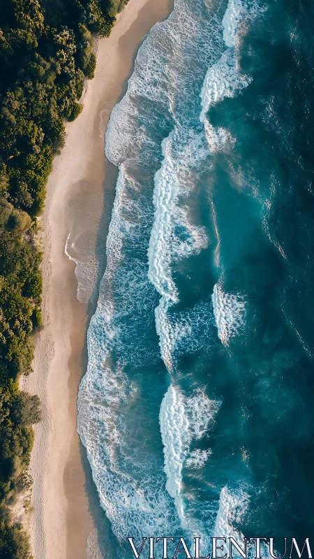 Sunlit shoreline and teal surf in vertical aerial view.