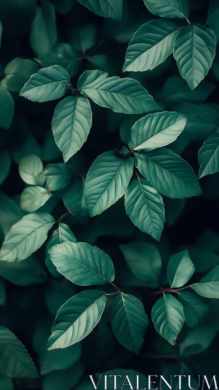 Moody green foliage creates a serene, contemplative backdrop