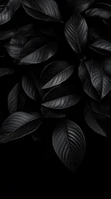 Monochrome close-up of overlapping dark foliage forms.