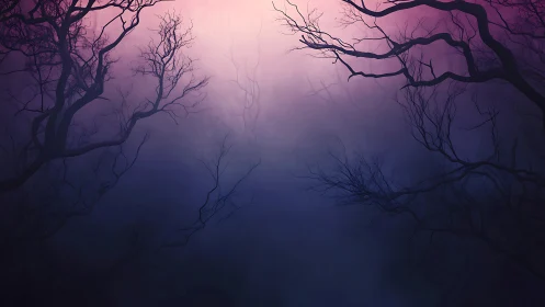 Soft twilight mist gathers beneath graceful dark branches