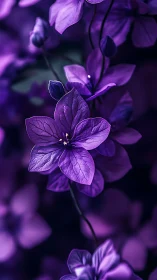Velvet Shadows Dance: Purple Petals Luminous Silence.