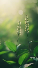 Soft morning light on tender green woodland stems.