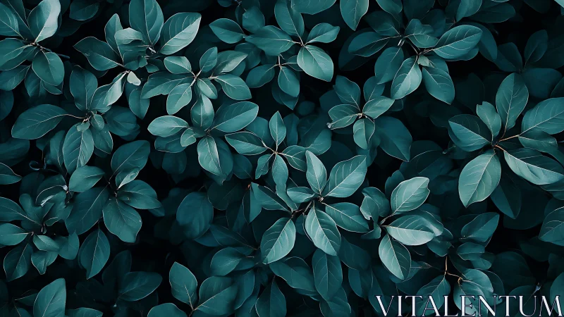 Teal-toned foliage spreads in a calm, minimal botanical pattern