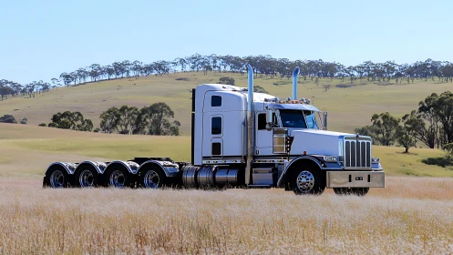 Heavy-duty prime mover with quad rear axles in rural grassland