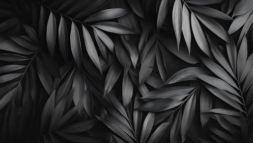 Monochrome palm fronds form a dramatic dark foliage tapestry.