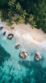 Aerial View of Tropical Coastline with Palm Trees.