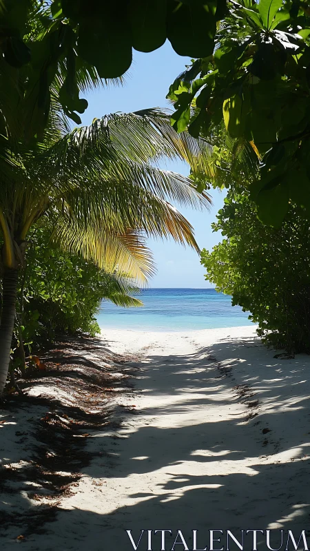 Tropical Gateway to Paradise Beach.