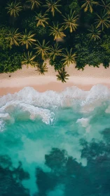 Tropical Paradise From Above: Palm Trees Meet Turquoise Waves.