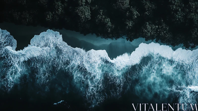 Midnight waves rolling into a secret forested shoreline.