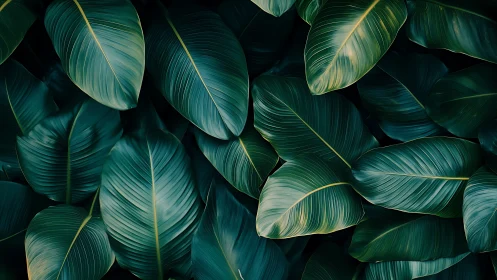Dense tropical foliage rendered with high-contrast botanical detail