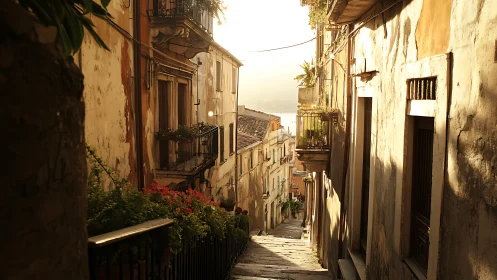 Narrow stepped alleyway between aged residential buildings.