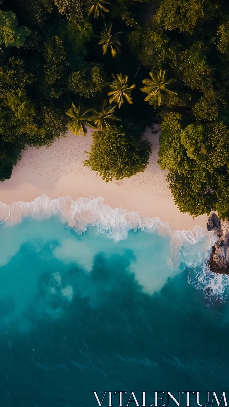 Tropical Paradise Coastline Aerial View