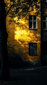 Golden wall hush where tree shadows write quiet stories.