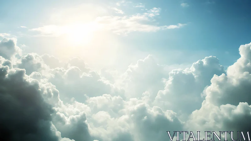 Backlit cumulus cloud field with high dynamic range skylight