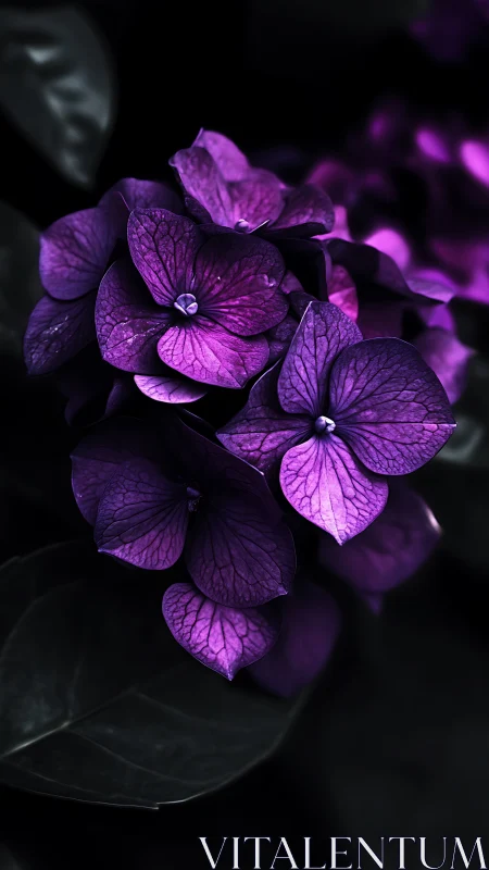 Luminous Purple Flowers Against Dark Gradient Background