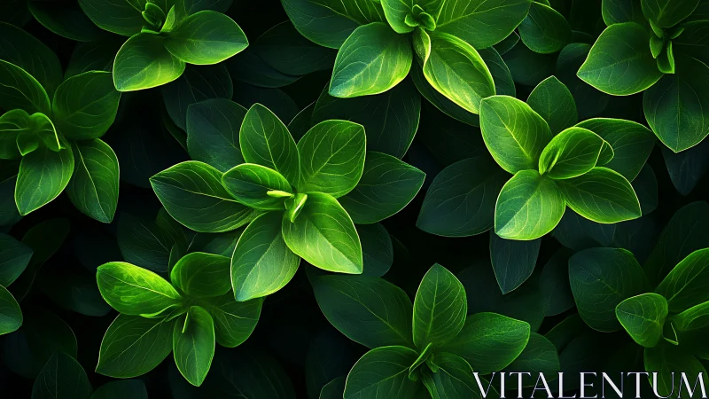 Parametric top‑lit foliage array with luminous venation mapping.