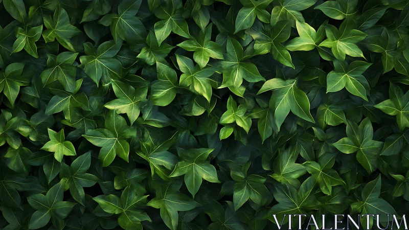Emerald ivy chorus murmuring in layered forest whispers.