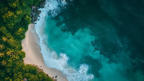Tropical shoreline curves between dense jungle and teal sea