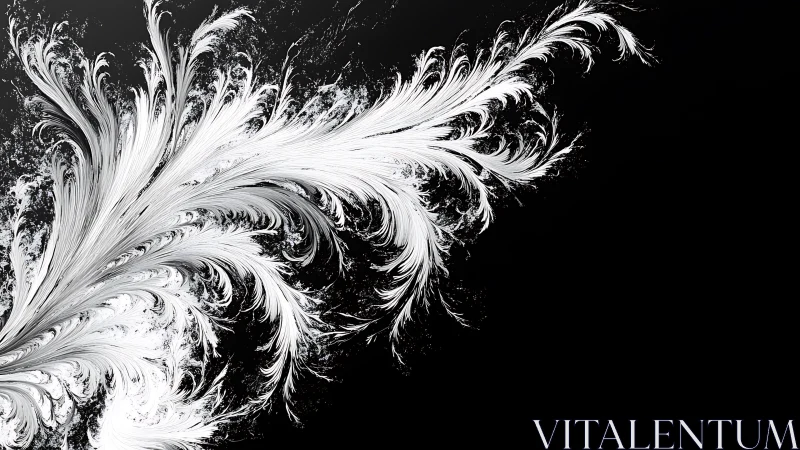 Monochrome high-contrast feathered fractal plume on black ground