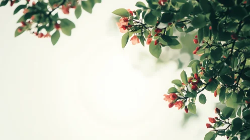 Delicate pink blossoms on leafy tree branches in soft light.