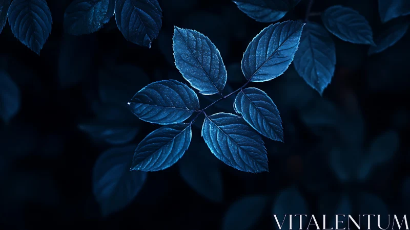 Single branch of compound leaves is illuminated in cool blue light