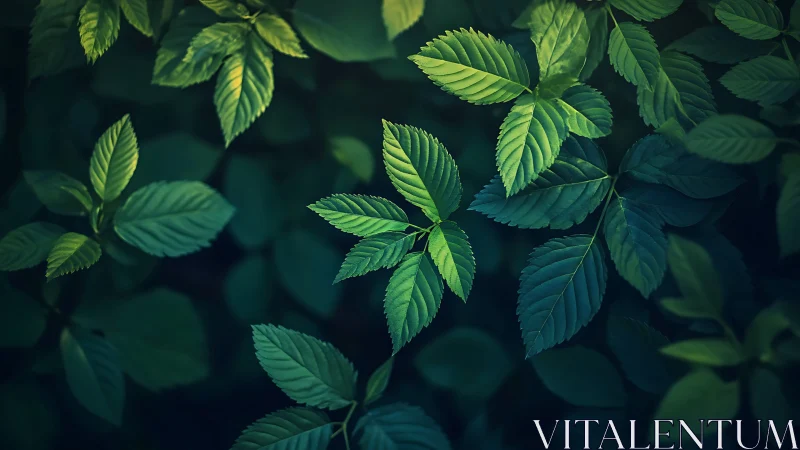 Moody botanical foliage study with selective rim lighting.