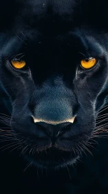 Black Panther's Mesmerizing Golden Gaze.