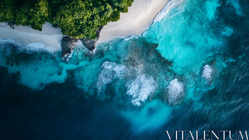 Turquoise Dreams Where Jungle Meets Crashing Ocean Waves