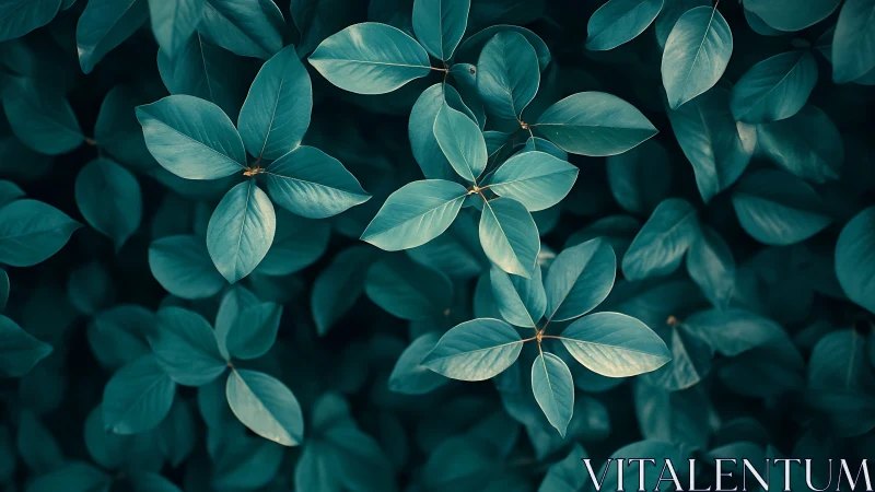 Teal foliage pattern under soft directional natural light.
