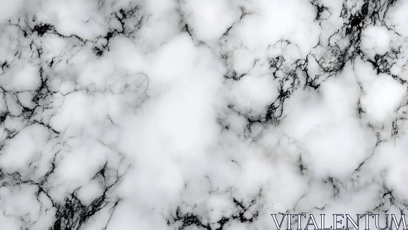Clouded white marble texture with dark organic veining.