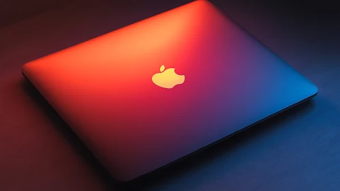 Warm sunset glow across a sleek closed laptop lid.